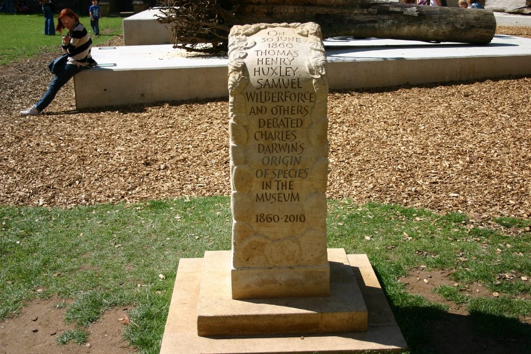The Great Debate monument, Oxford University Museum of Natural History, Oxford - 02.JPG
